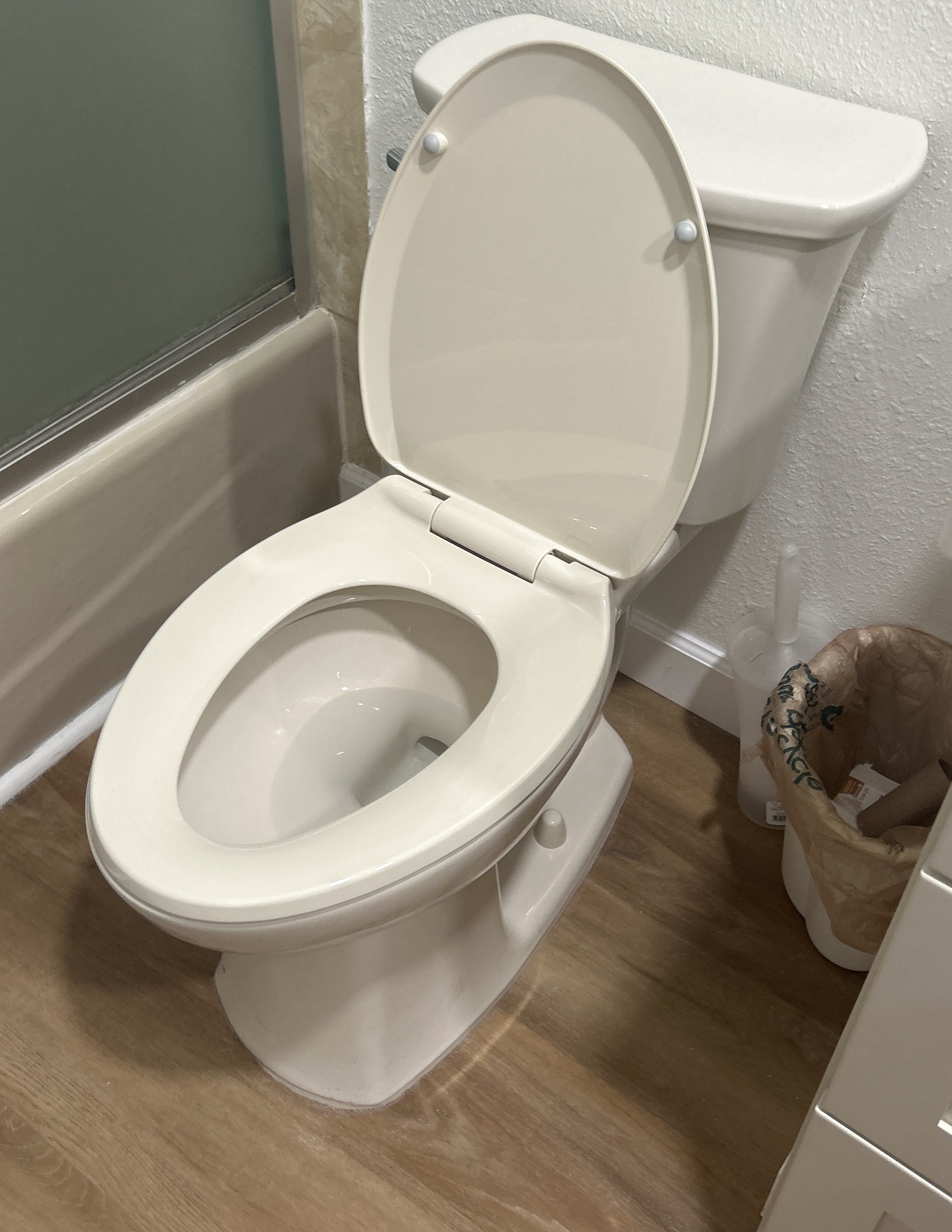 Toilet Install